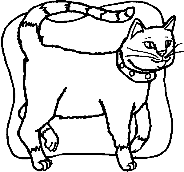 cats