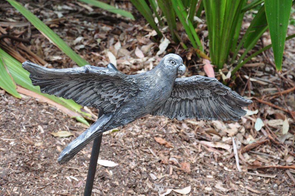 Dinosaurs to birds scuptures at Taronga Zoo, Sydney